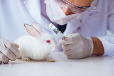 Similar image 13298308