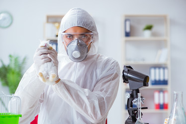 Similar image 13298348