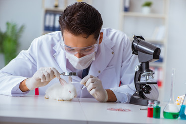 Similar image 13298948