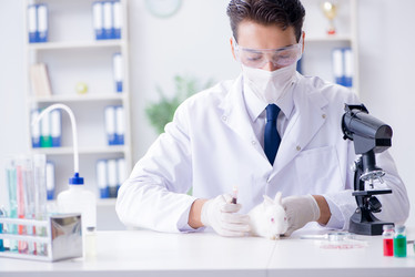 Similar image 13306558