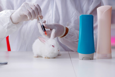 Similar image 13308079