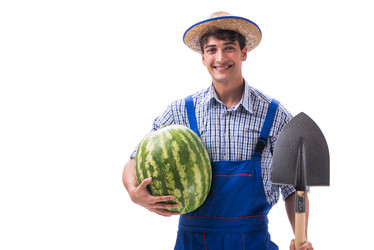 Similar image 13298586