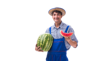 Similar image 13298695