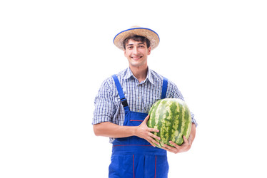 Similar image 13298735