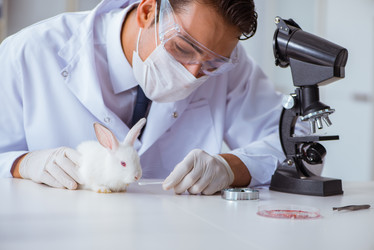 Similar image 13298317