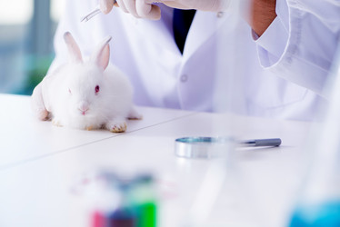 Similar image 13298826