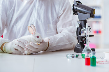 Similar image 13307979