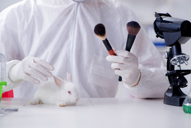 Similar image 13308131