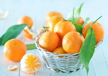 Similar image 13295301