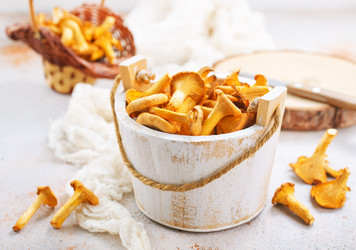 Similar image 13295350