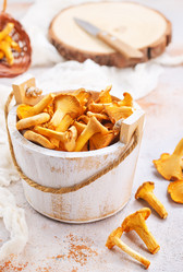 Similar image 13295372