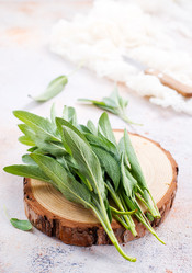 Similar image 13295547