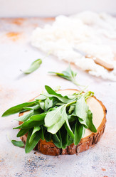 Similar image 13295593