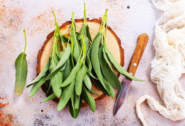 Similar image 13295513