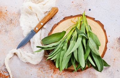 Similar image 13295517