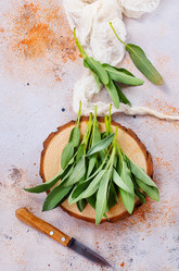 Similar image 13295527