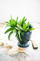 Similar image 13295534