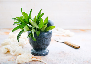 Similar image 13295535