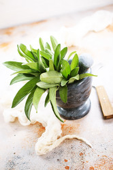 Similar image 13295315