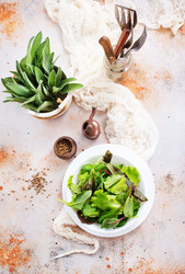 Similar image 13295464