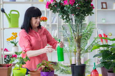 Similar image 13307982