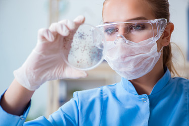 Similar image 13300480