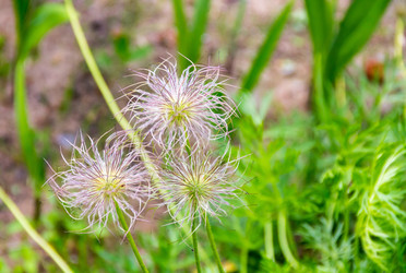 Similar image 13323422