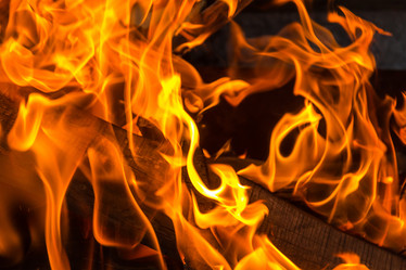 Similar image 13299571