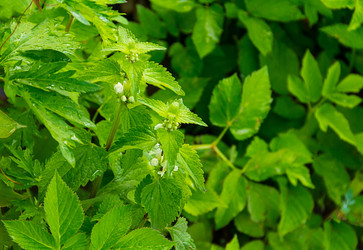 Similar image 13323352