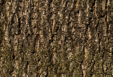 Similar image 13323353