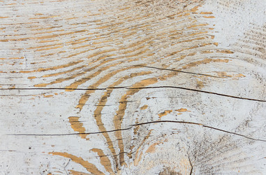 Similar image 13323376