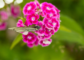 Similar image 13305883