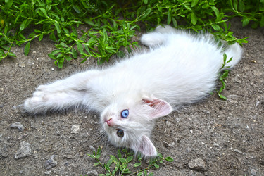 Similar image 13309134