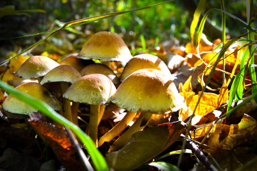 Similar image 13309147