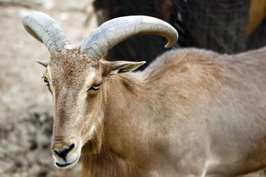 Similar image 13309148