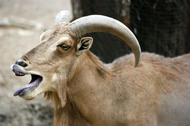 Similar image 13309150