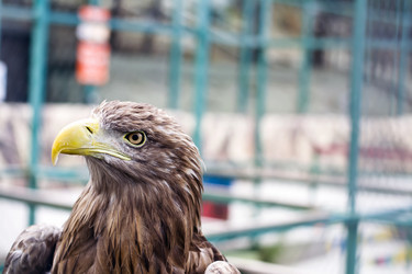 Similar image 13309151