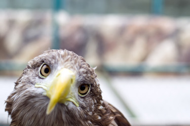 Similar image 13309152