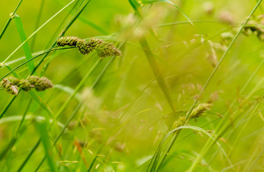 Similar image 13323384