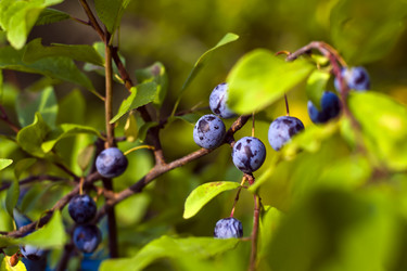 Similar image 13309122