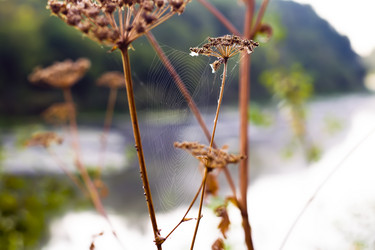 Similar image 13309130