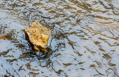 Similar image 13323334