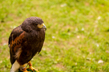 Similar image 13309827