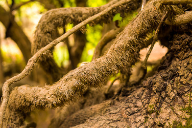 Similar image 13323442