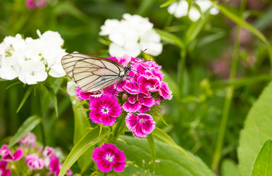 Similar image 13309213