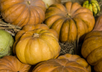 Similar image 13305926