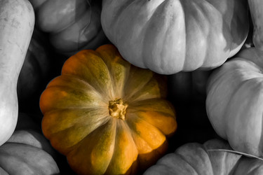 Similar image 13323393