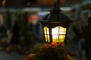 Similar image 13305886