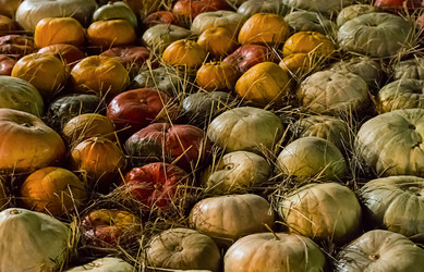 Similar image 13323448