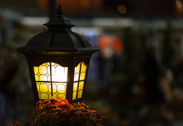 Similar image 13323451